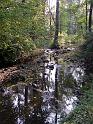 Böhmen (109)